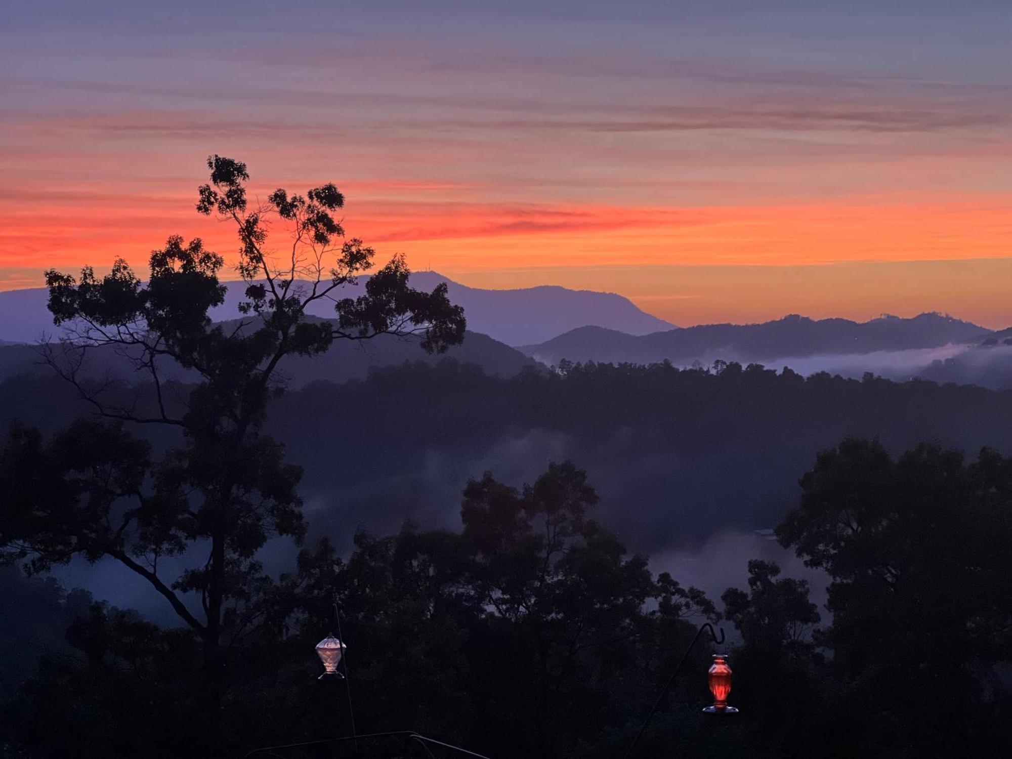 Smoky Best - Glowing Twilight Pigeon Forge Luaran gambar